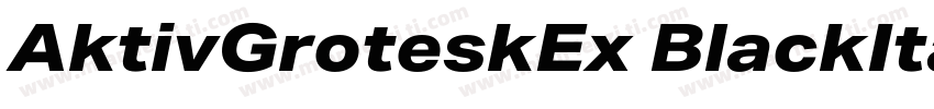AktivGroteskEx BlackItalic字体转换